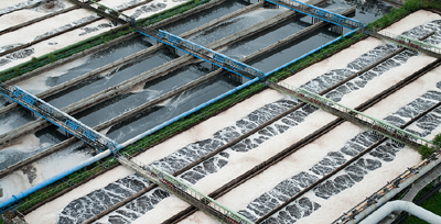Bioaugmentation & bioremediation